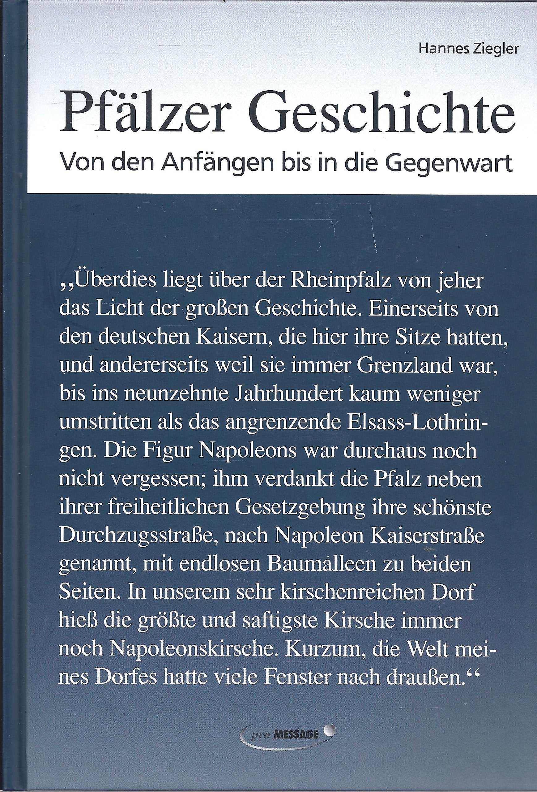 Pfälzer Geschichte: Von den Anfängen bis in die Gegenwart Politics & History