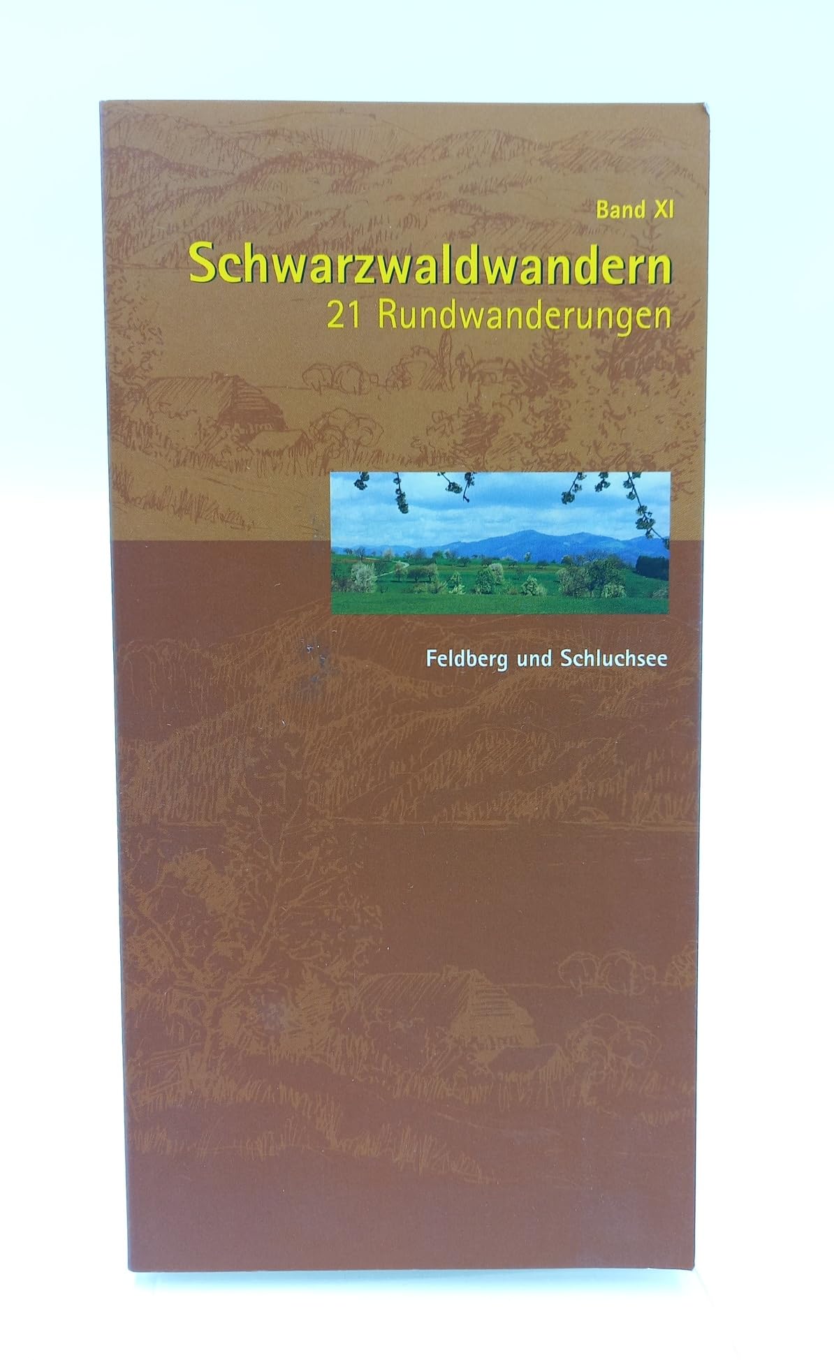 Schwarzwaldwandern / Feldberg und Schluchsee: BD 11 book