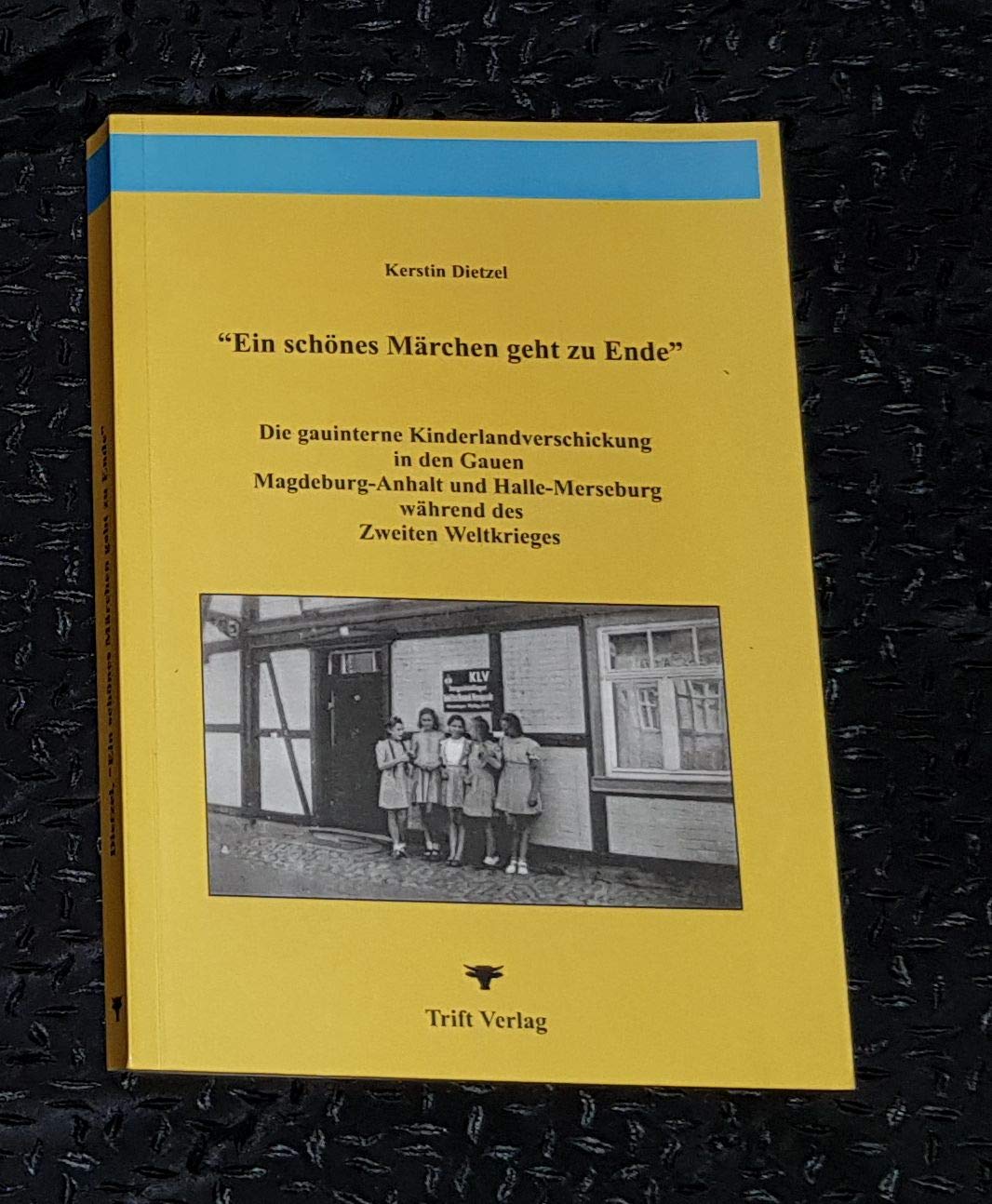 Ein schönes Märchen geht zu Ende. Die gauinterne Kinderlandverschickung in den Gauen Magdeburg-Anhalt und Halle-Merseburg während des Zweiten Weltkrieges Books