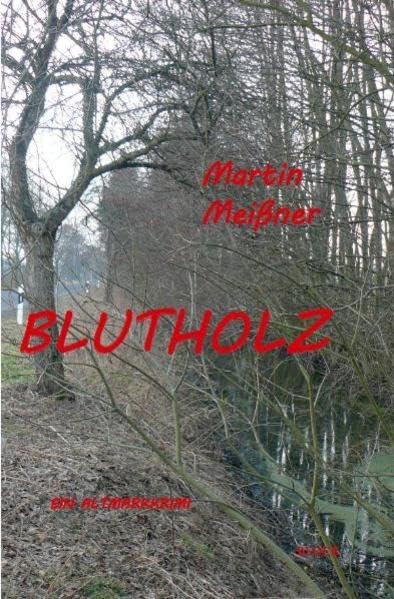 Blutholz: ein Sachsen-Anhalt-Krimi Contemporary literature
