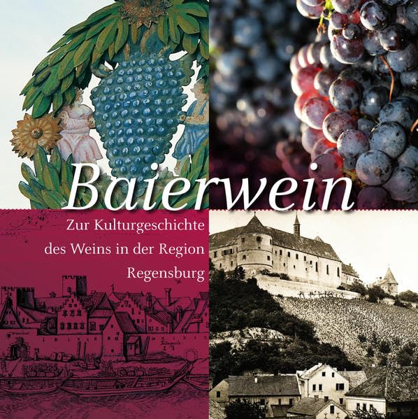 Baierwein: Zur Kulturgeschichte des Weins in der Region Regensburg (Kulturführer Regensburg) Politics & History