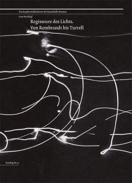 Regisseure des Lichts. Von Rembrandt bis Turrell book