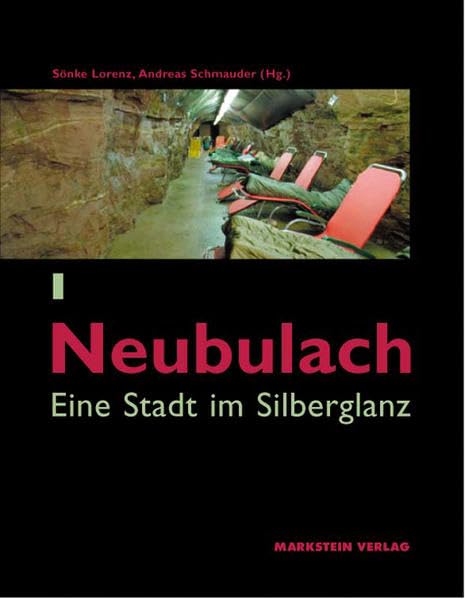 Neubulach: Eine Stadt im Silberglanz (Gemeinde im Wandel) Politics & History