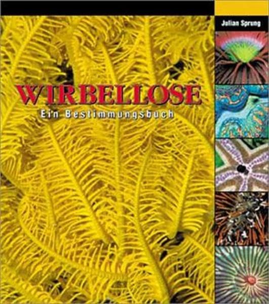 Product Image: Wirbellose