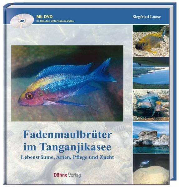Fadenmaulbrüter im Tanganjikasee: Lebensräume, Arten, Pflege und Zucht Pets