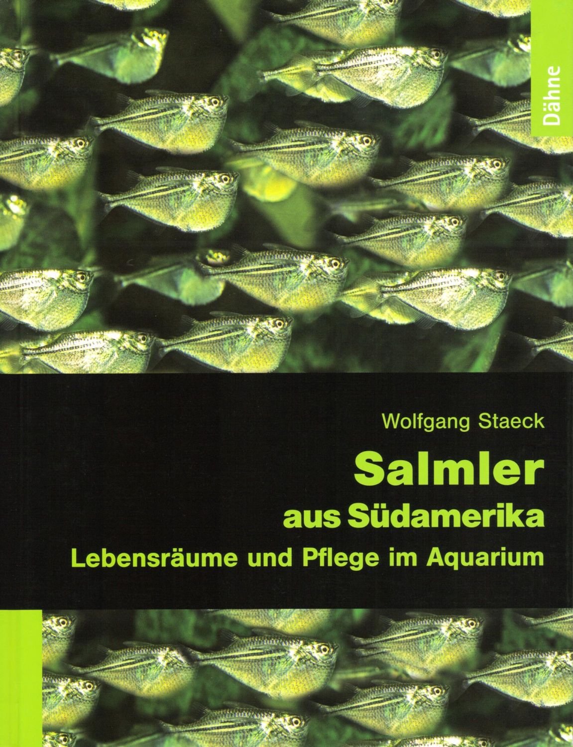 Salmler aus Südamerika Pets