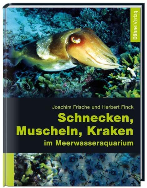 Schnecken, Muscheln, Kraken im Meerwasseraquarium Pets