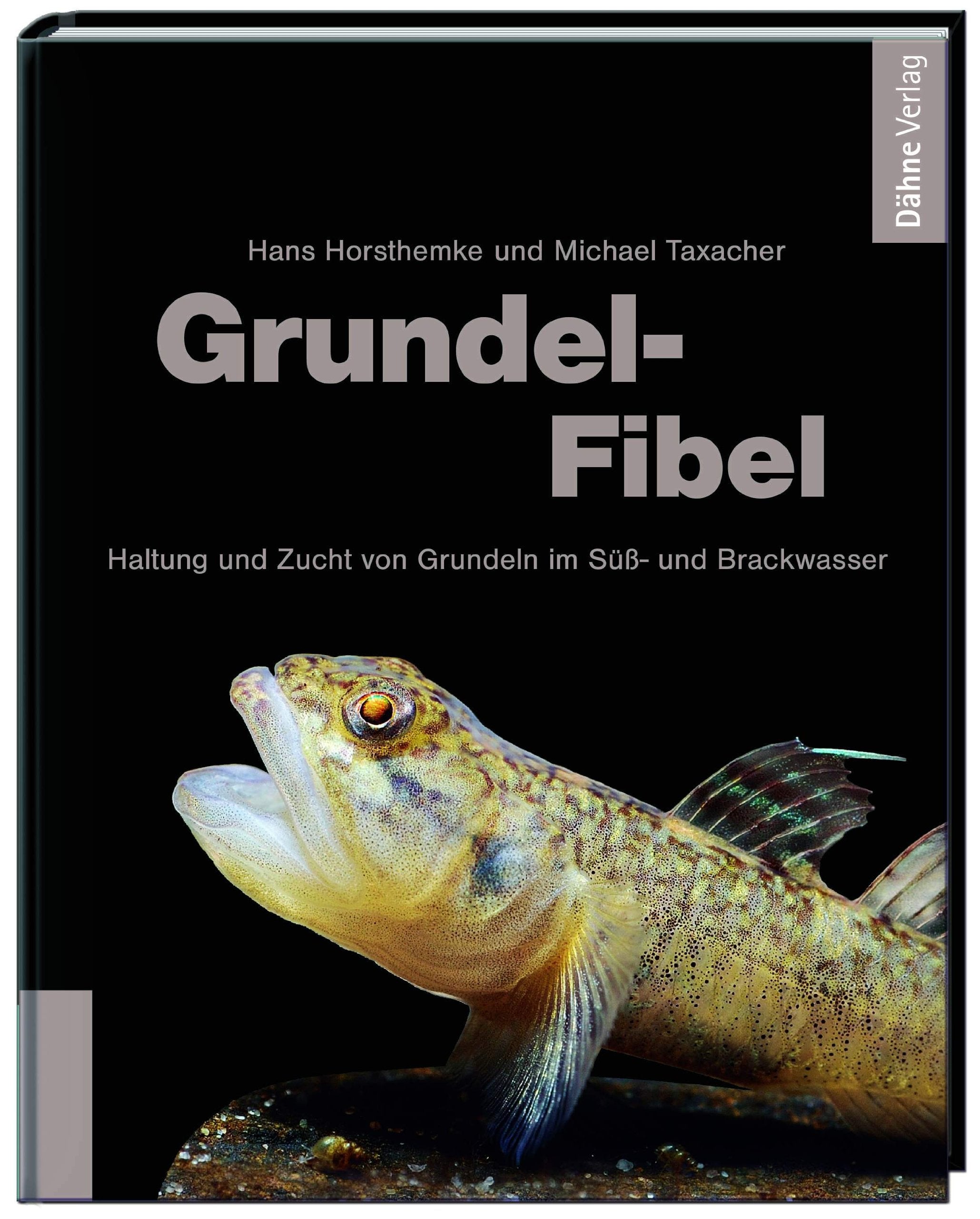 Grundel-Fibel book