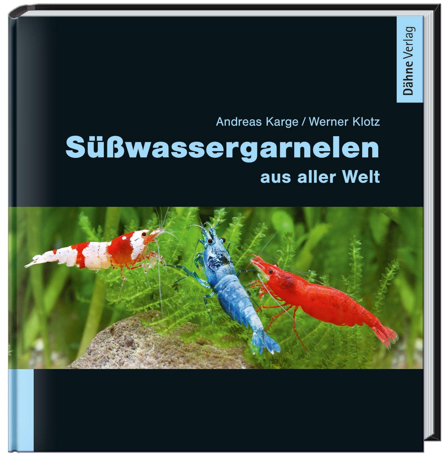 Süßwassergarnelen aus aller Welt Pets