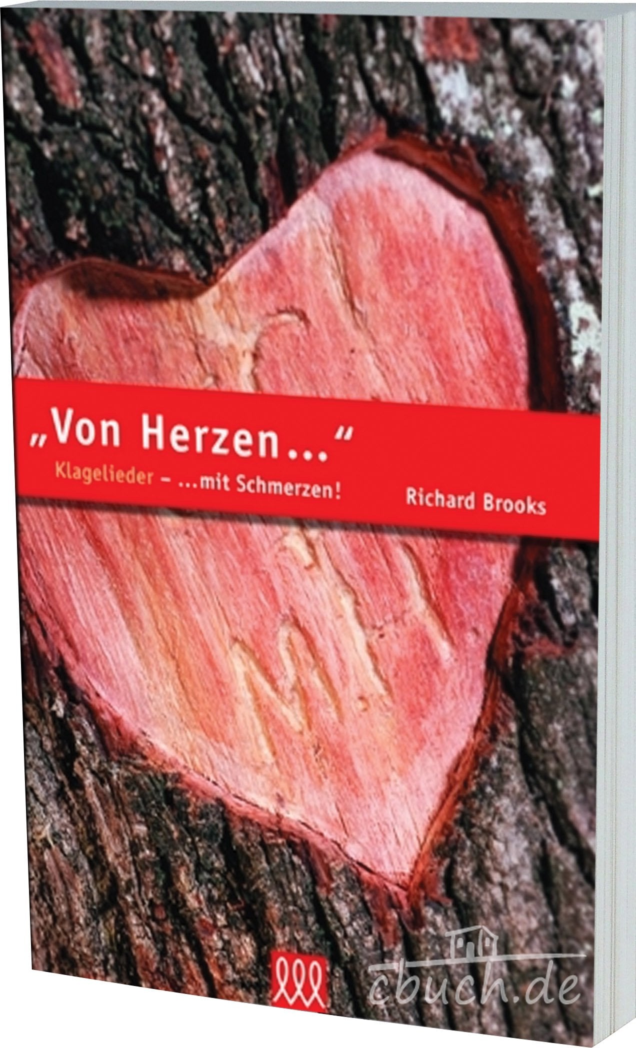 Von Herzen...: Klagelieder - ... mit Schmerzen (Lesekommentare) Religion & Esotericism