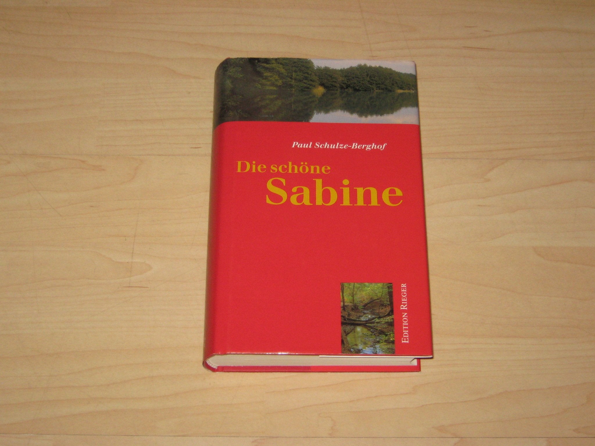 Die schöne Sabine: Ein friderizianischer Roman aus den Rheinsberger Tagen Contemporary literature