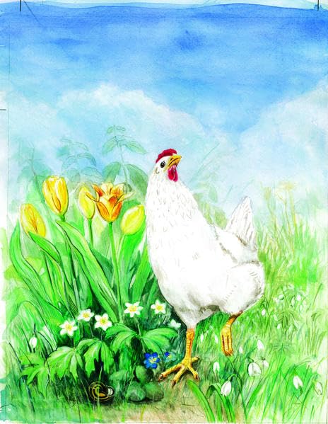 Product Image: Wunder mit Huhn