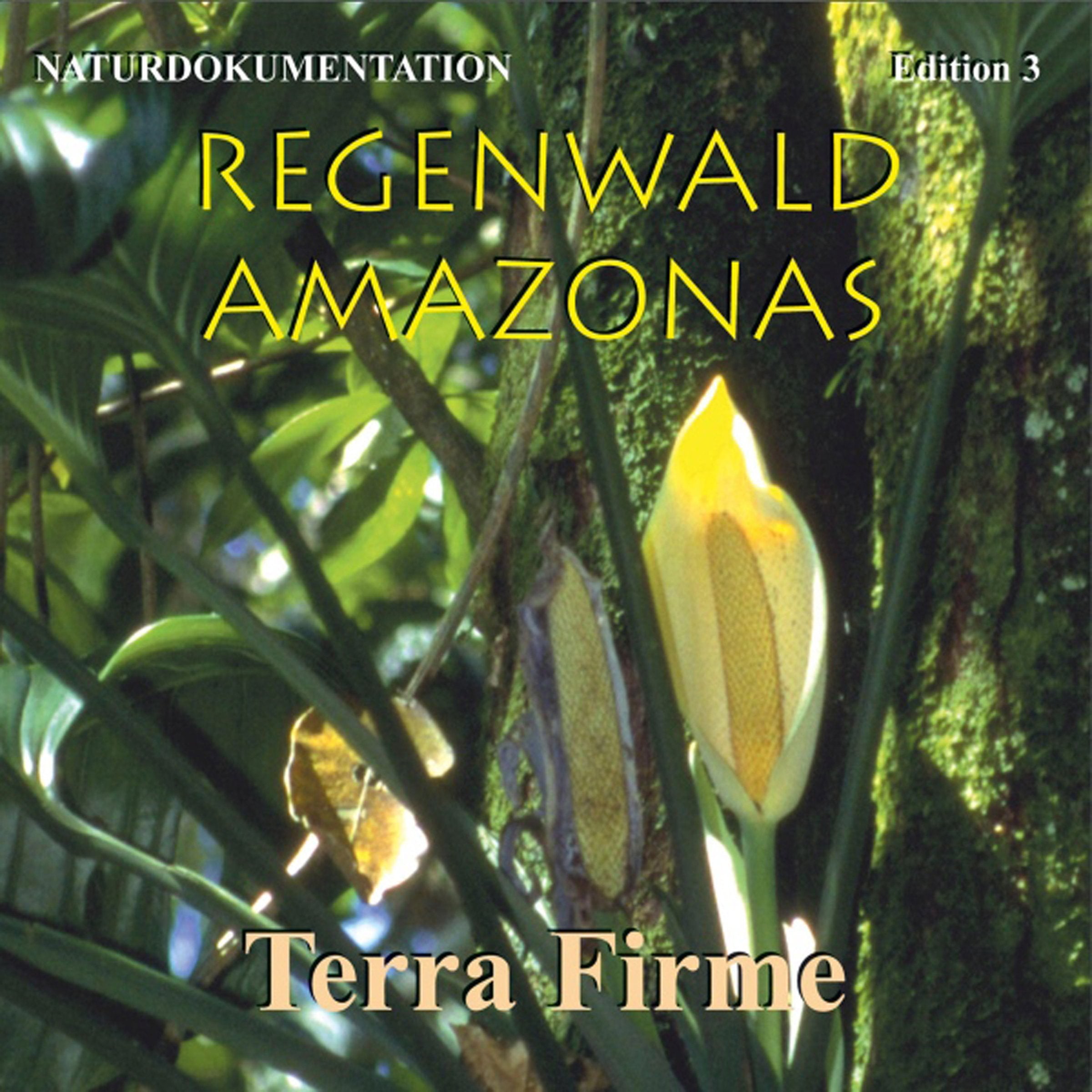 Regenwald Amazonas Edition 3 Terra Firme Leisure, Home & Garden