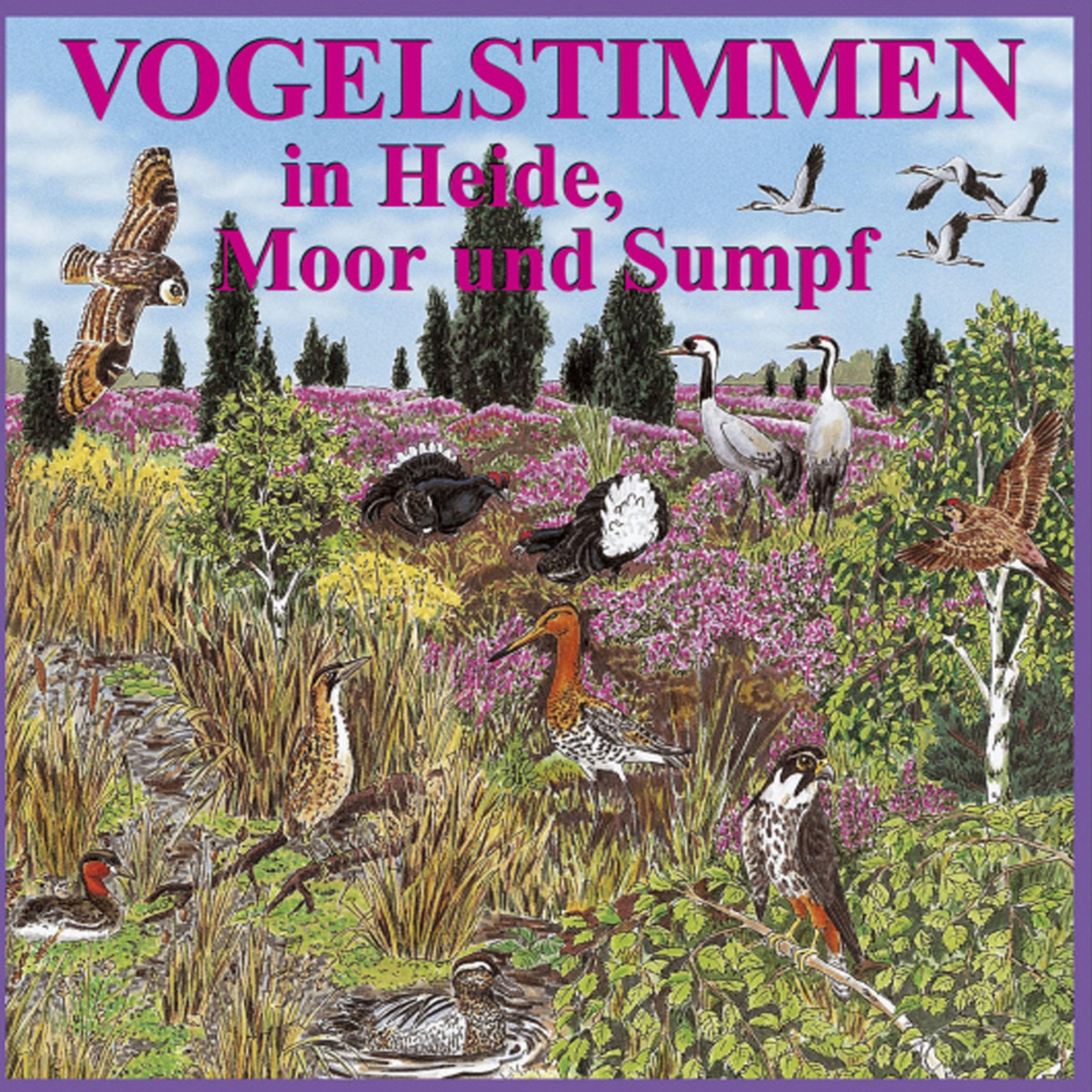 Vogelstimmen in Heide, Moor und Sumpf - Mit gesprochenen Erläuterungen cd