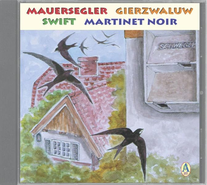 Mauersegler gezielt ansiedeln Radio Plays