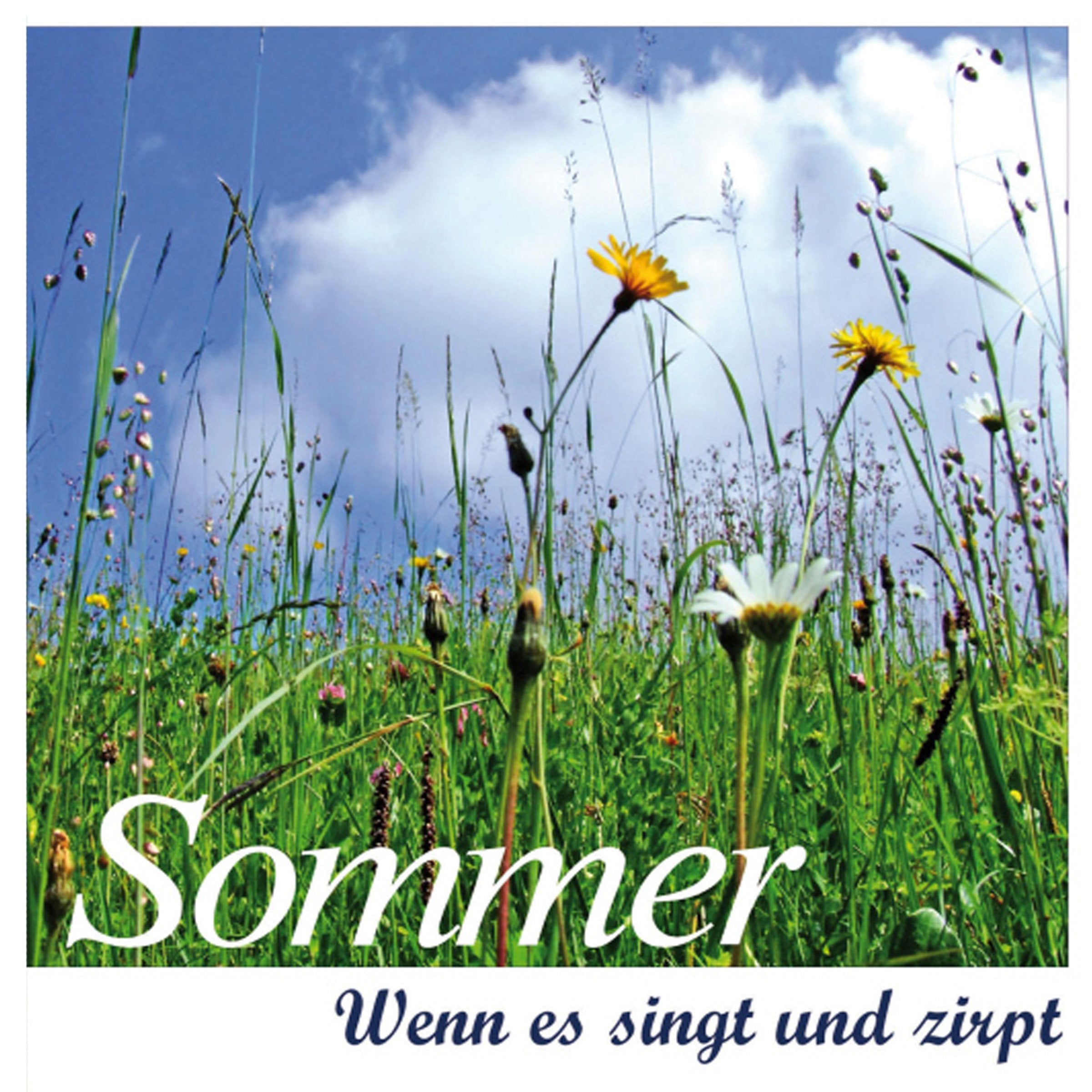 Sommer-Wenn es singt und zirpt Leisure, Home & Garden