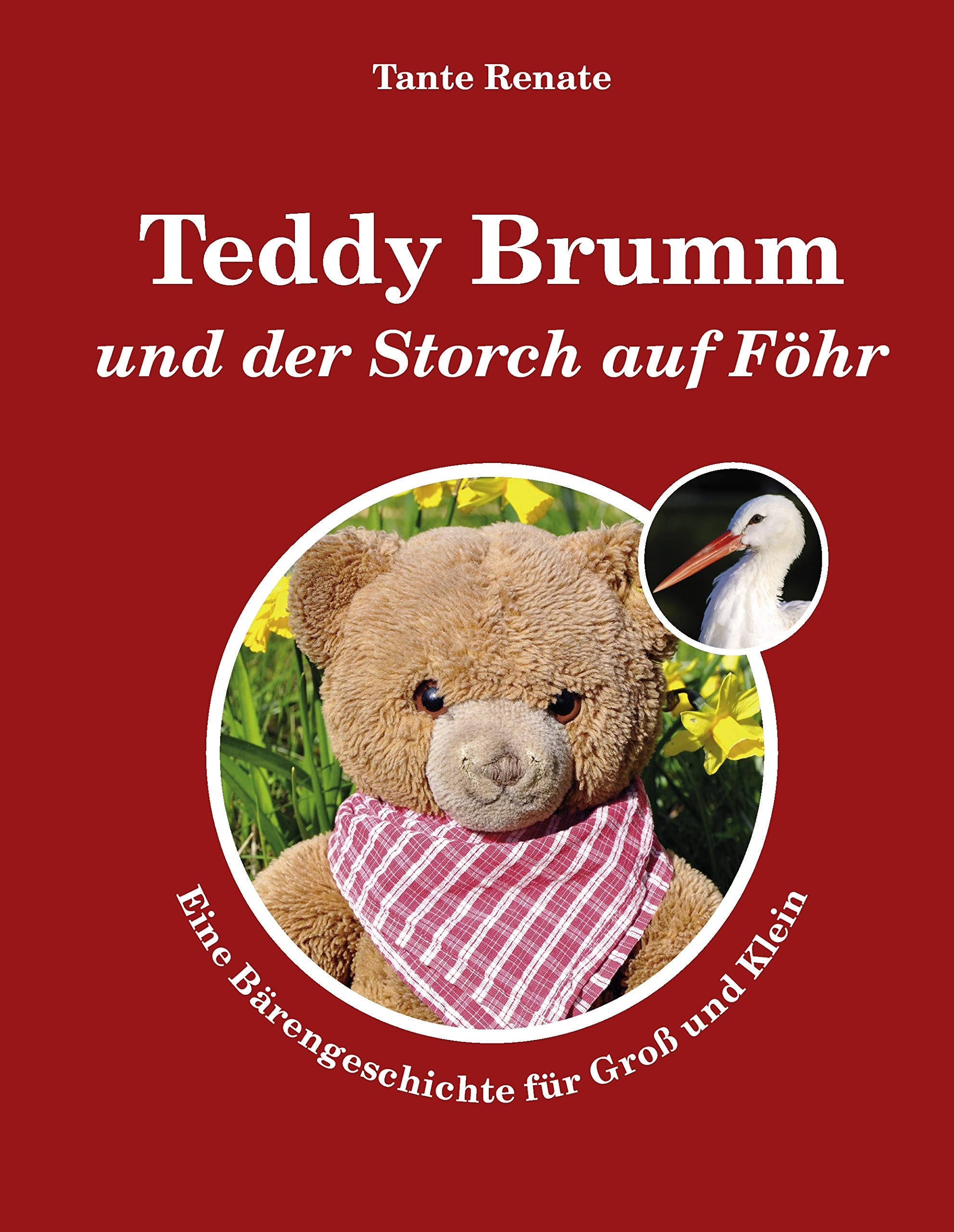 Teddy Brumm und der Storch auf Föhr: Eine Bärengeschichte für Groß und Klein Novels & Short Stories