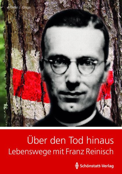 Über den Tod hinaus book