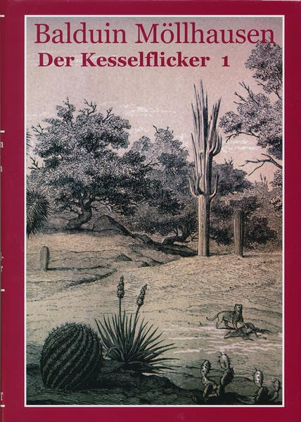 Der Kesselflicker (Romane und Erzählungen von Balduin Möllhausen) Contemporary literature