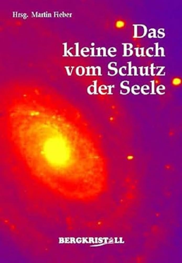 Das kleine Buch vom Schutz der Seele Contemporary literature