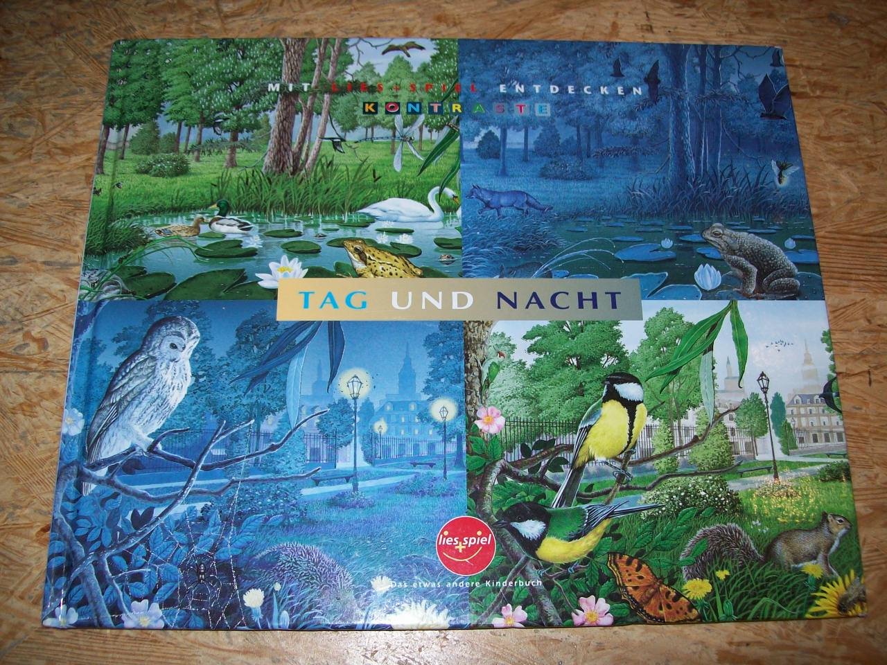 Tag und Nacht - mit LIES+SPIEL entdecken - KONTRASTE Books
