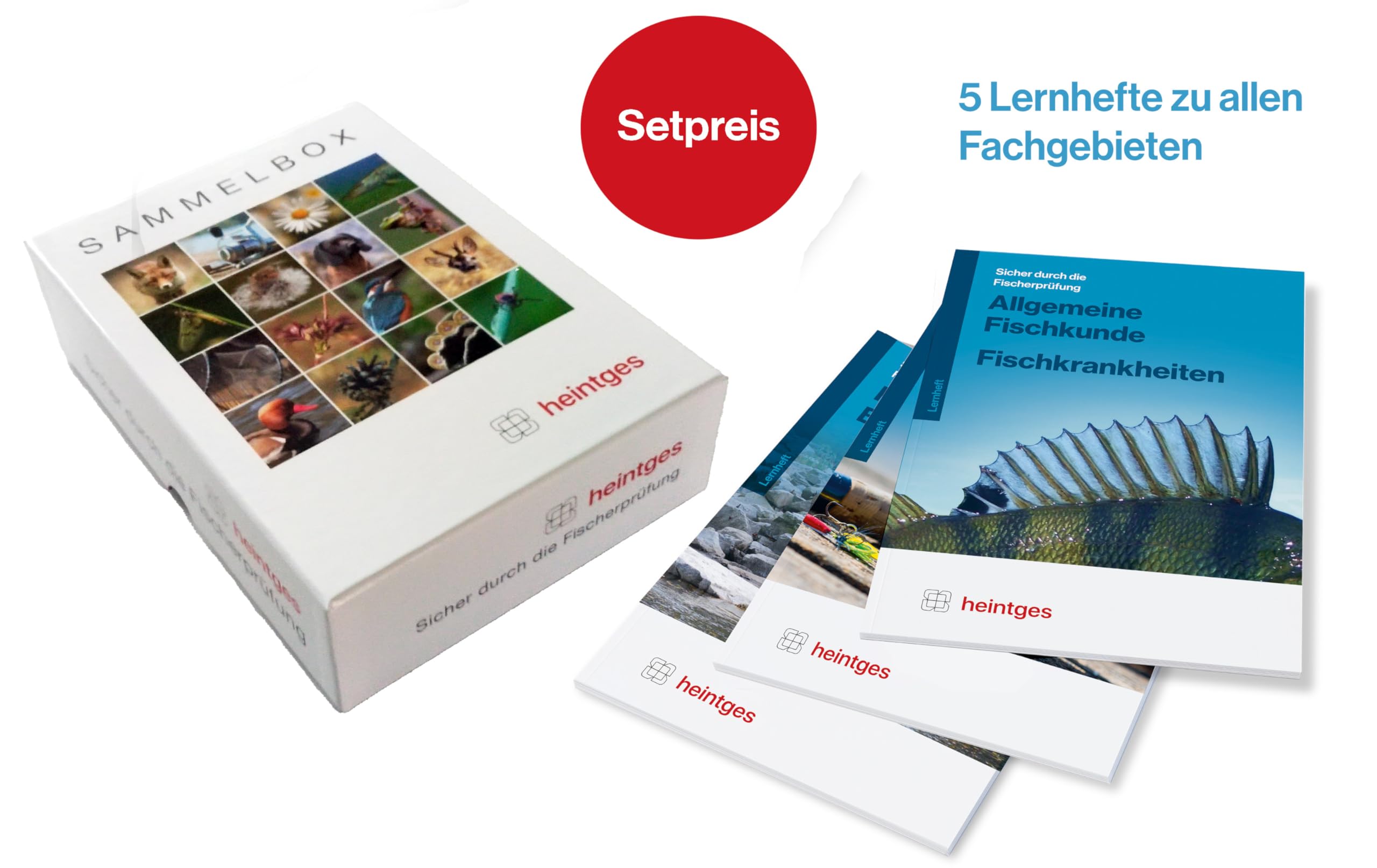 Grundausstattung Fisch - Heintges - Sicher durch die Fischerprüfung Books