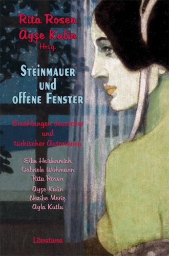 Steinmauer und offene Fenster: Erzählungen deutscher und türkischer Autorinnen - Heidenreich, Elke book