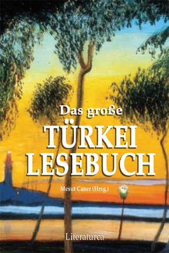 Das große Türkei Lesebuch: Erzählungen, Romanausschnitte, Essays, Gedichte Fiction