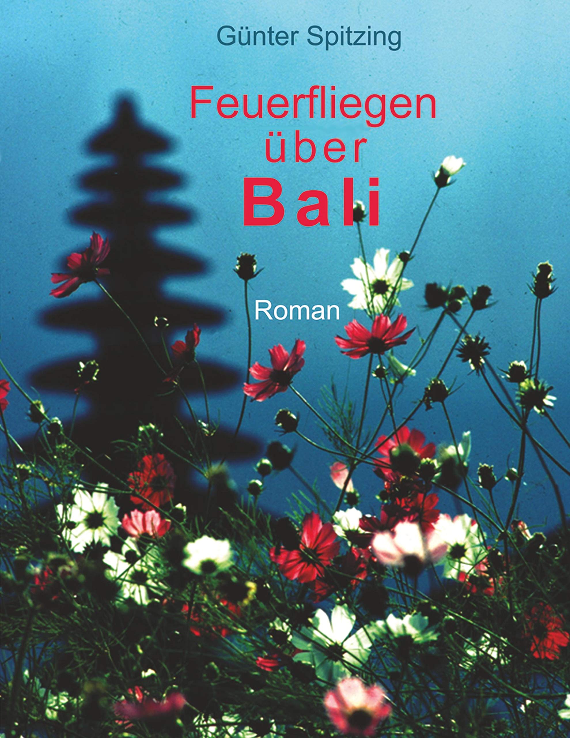 Feuerfliegen über Bali Books