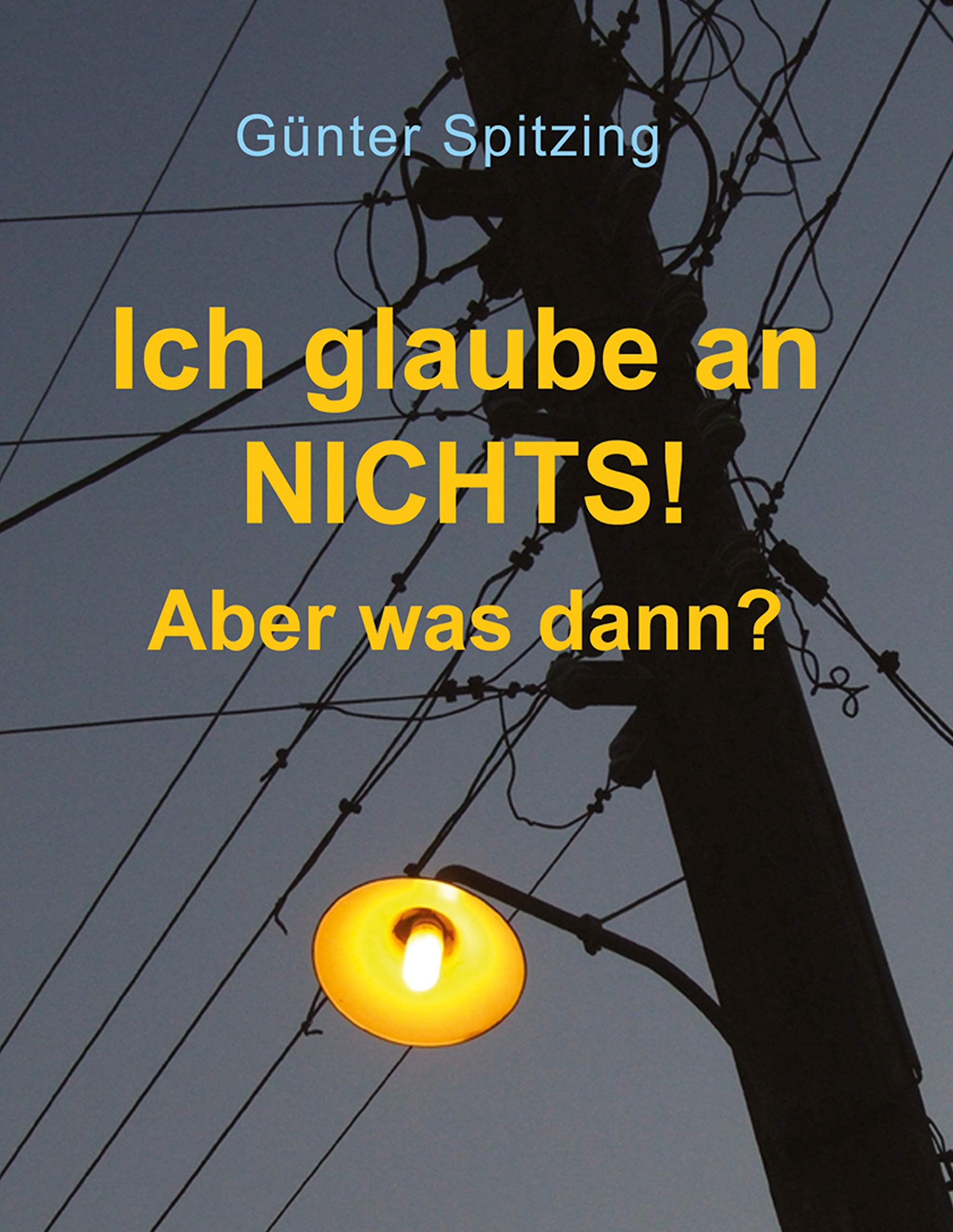 Ich glaube an nichts! Aber was dann? Books