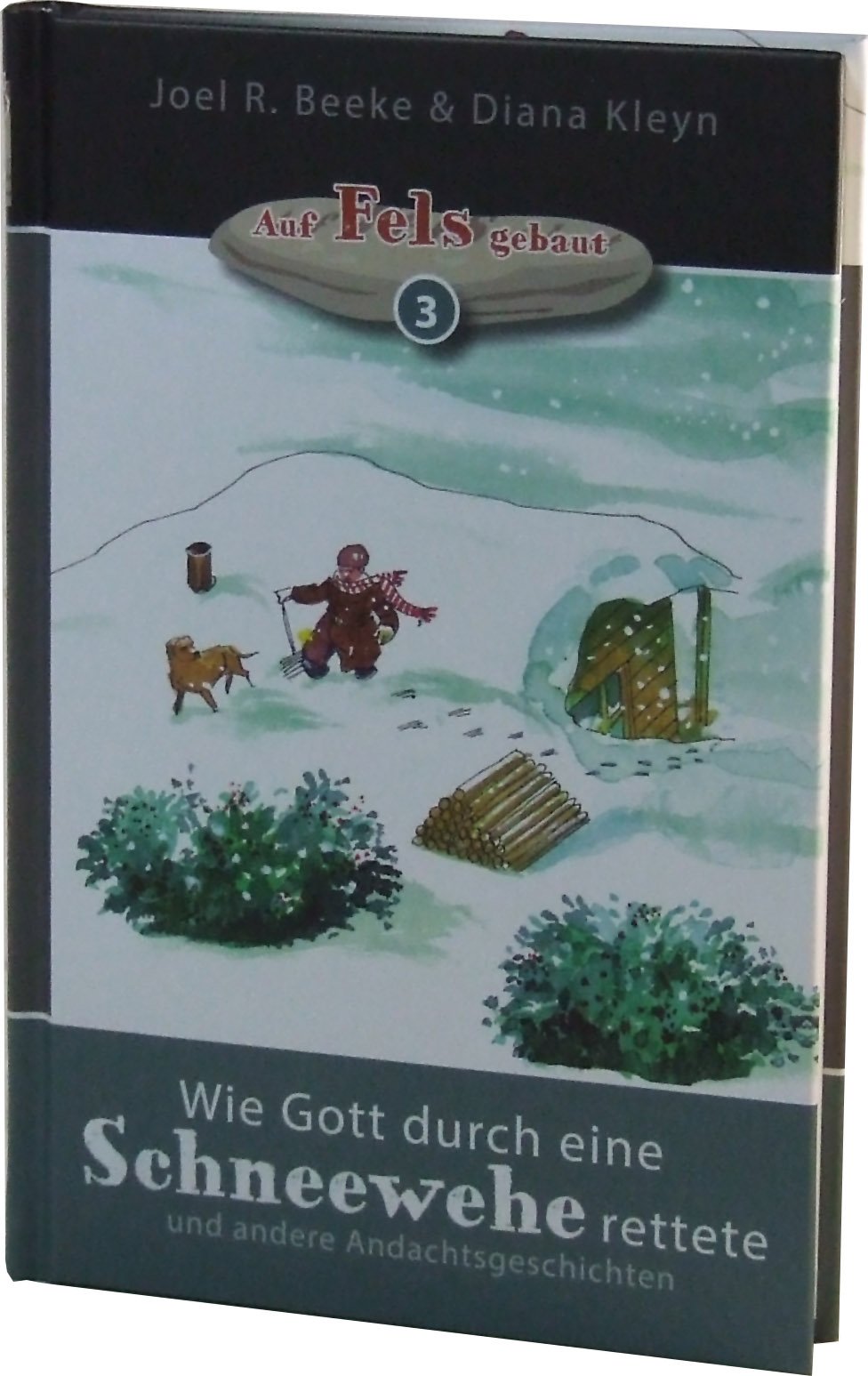 Wie Gott durch eine Schneewehe rettete book