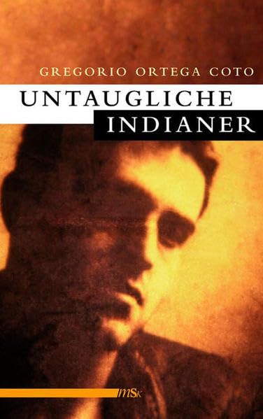 Untaugliche Indianer: Erzählungen LGBTQ+