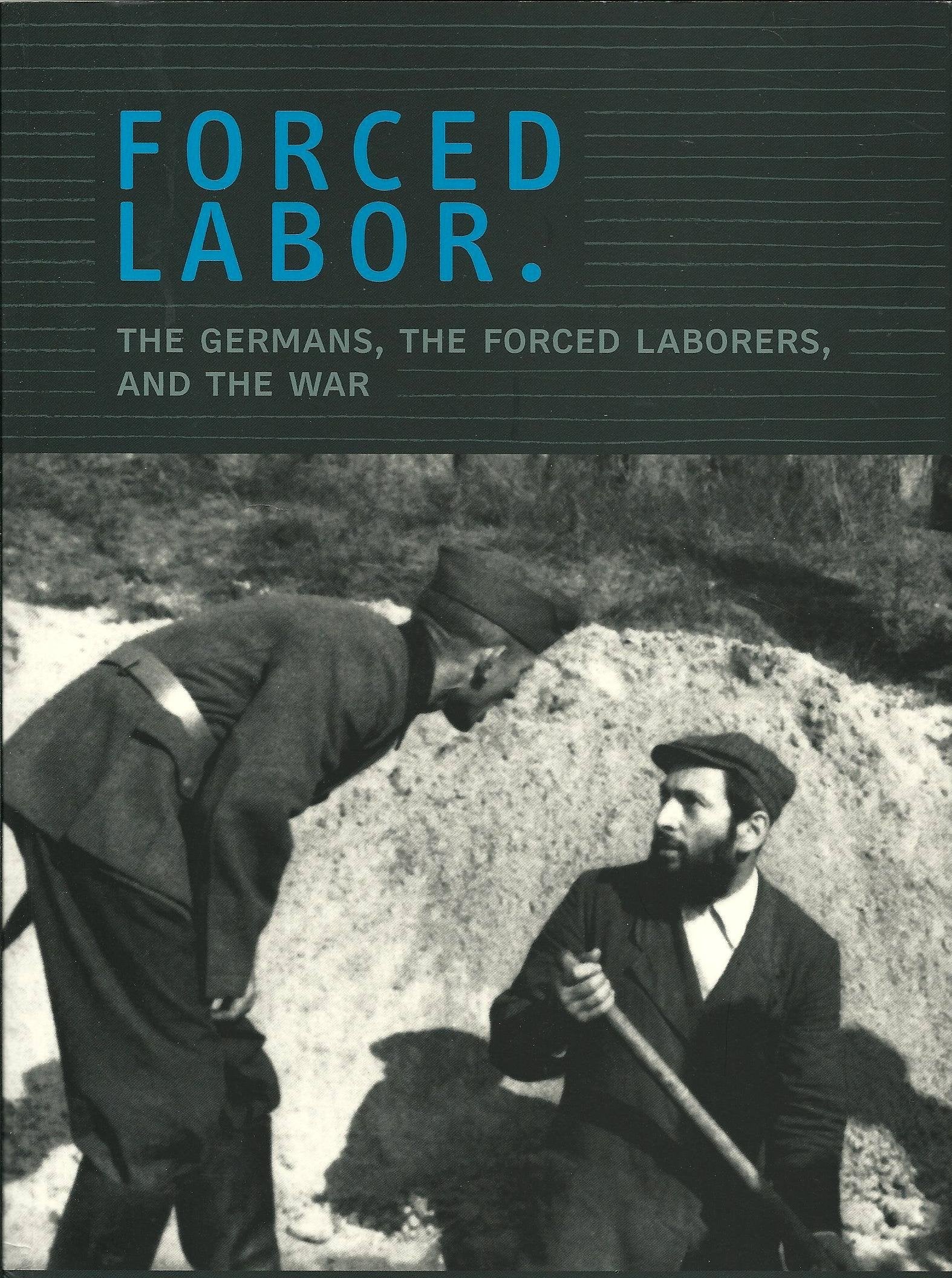 Forced Labor. The Germans, the Forced Laborers, and the War. Politics & History