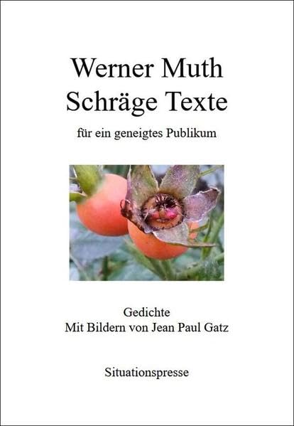Schräge Texte für ein geneigtes Publikum: Gedichte. Mit Bildern von Jean Paul Gatz Contemporary literature