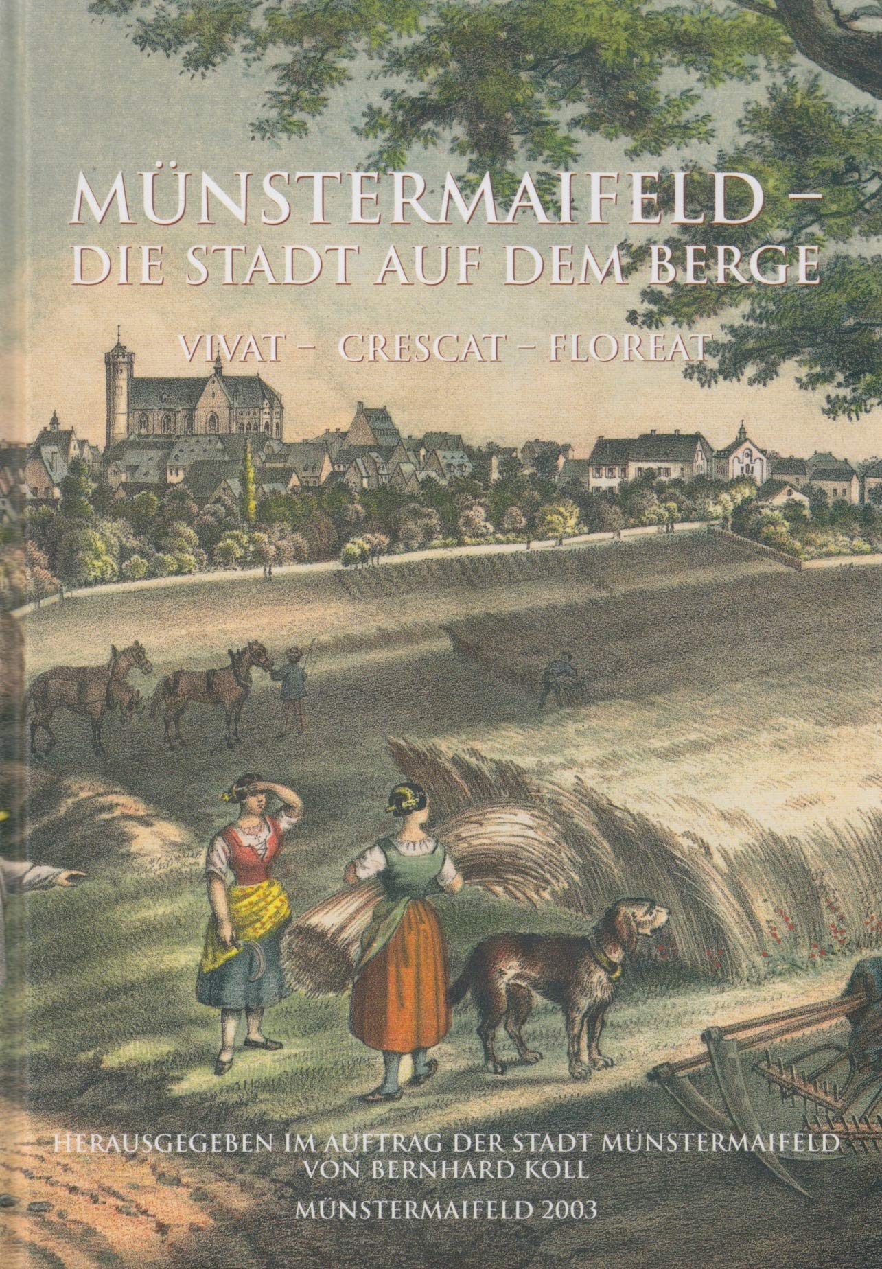 Münstermaifeld: Die Stadt auf dem Berge Books