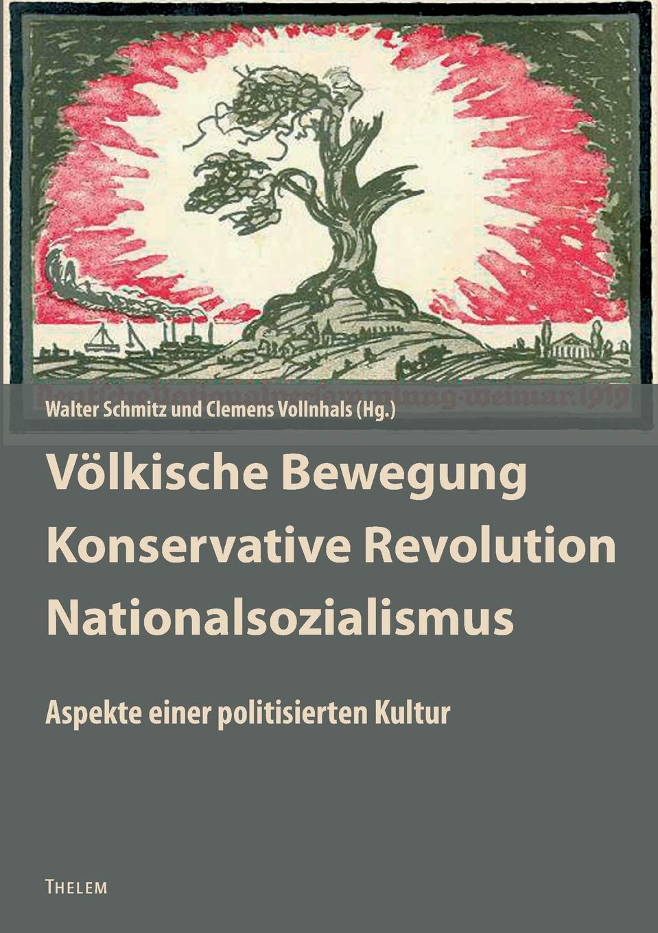 Völkische Bewegung - Konservative Revolution - Nationalsozialismus: Aspekte einer politisierten Kultur. Kultur und antidemokratische Politik in Deutschland (Kulturstudien) Law