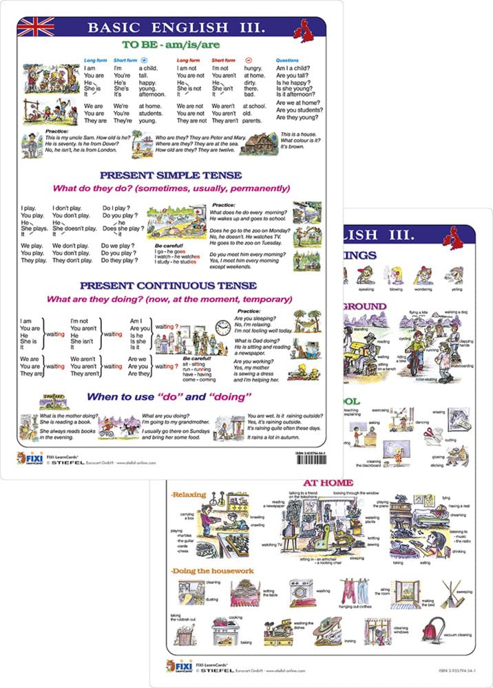 Basic English III - Lernkarte DIN A4: FIXI-LearnCard® Verpackungseinheit 5 Stück(3,95€ je Lernkarte) Foreign Languages ​​& Dictionaries