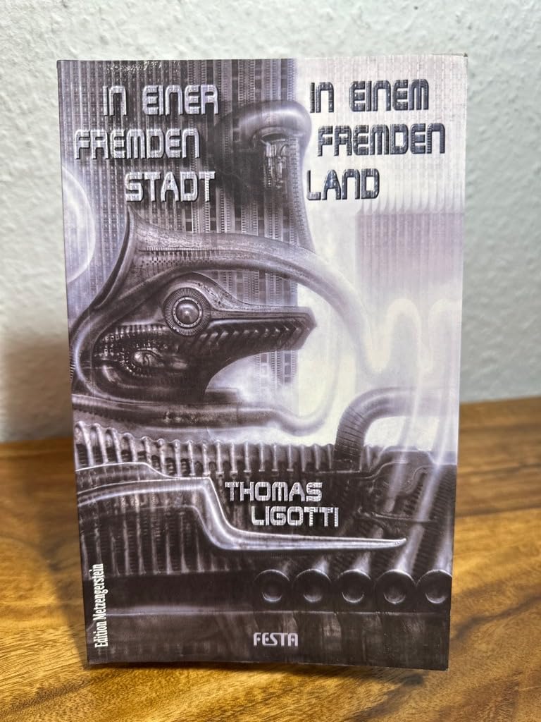 In einer fremden Stadt, in einem fremden Land: Erzählungen (Edition Metzengerstein) Books