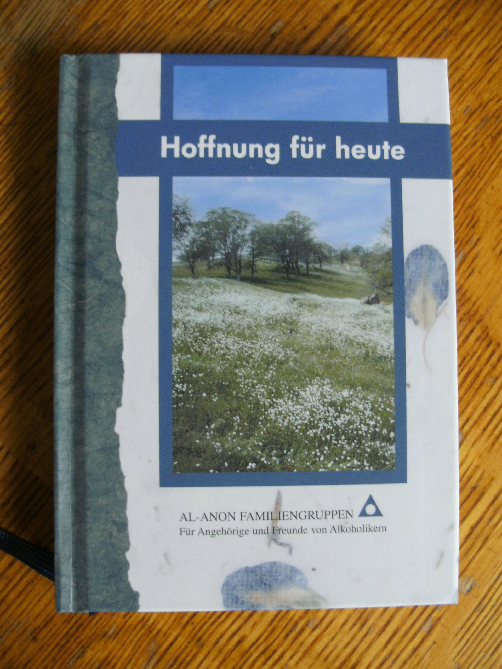 Hoffnung für heute Politics & History