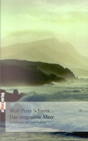 Das vergessene Meer: Erzählungen und neue Gedichte (Allitera Verlag) Contemporary literature