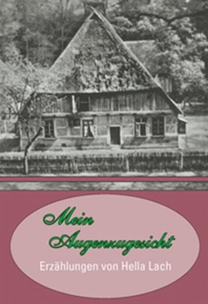 Mein Augenzugesicht: Erzählungen von Hella Lach Historical Fiction