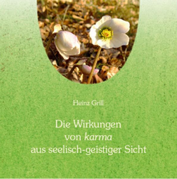 Die Wirkungen von karma aus seelisch-geistiger Sicht: Vortrag von Heinz Grill vom 23. April 1999 in Zürich Religion & Esotericism