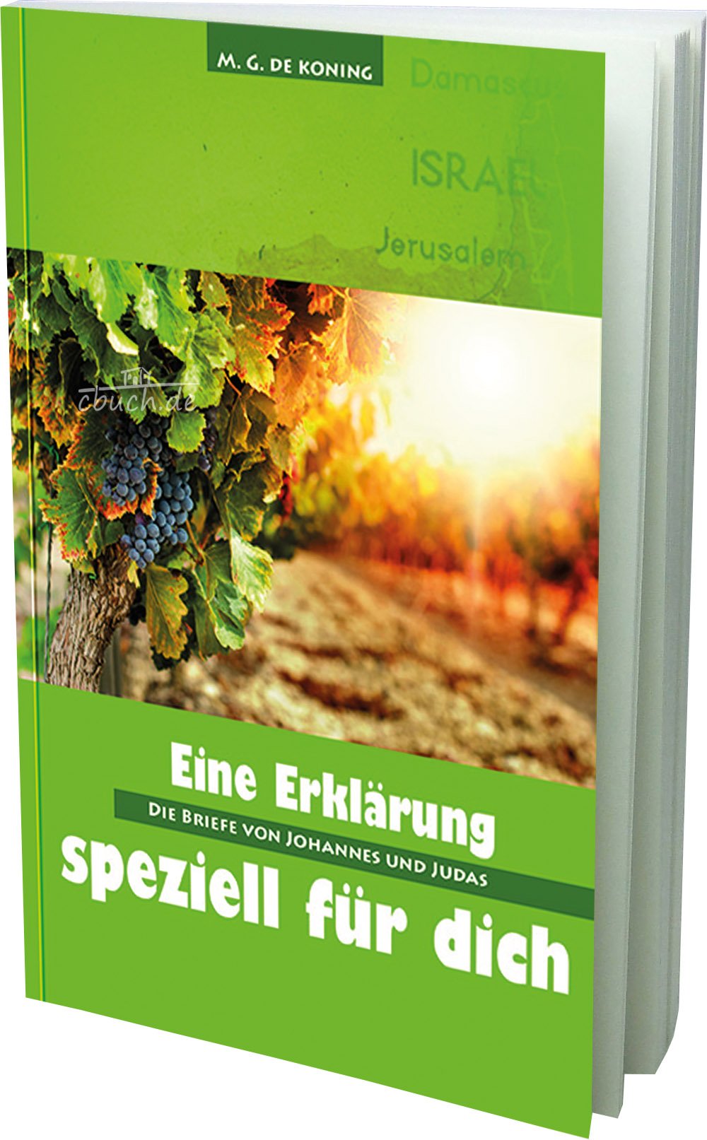 Die Briefe von Johannes und Judas: Reihe: Eine Auslegung speziell für dich, Band 11 Religion & Esotericism