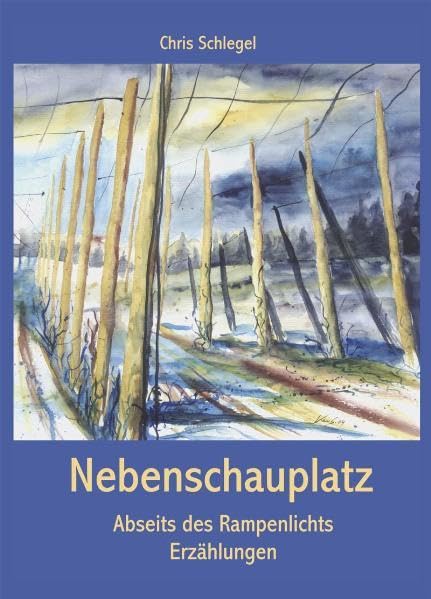 Nebenschauplatz: Abseits des Rampenlichts. Erzählungen Contemporary literature