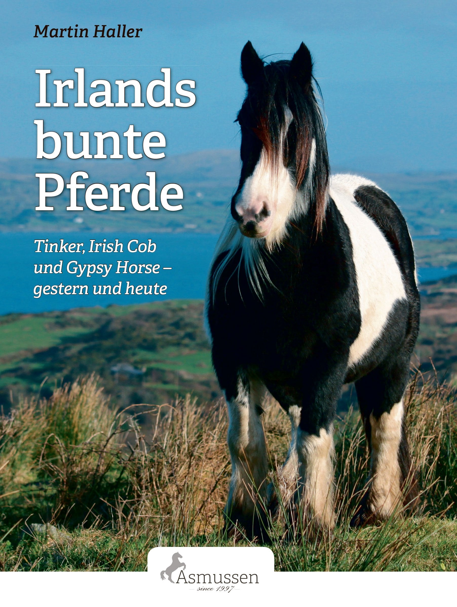 Irlands bunte Pferde: Tinker, Irish Cob, Gypsy Horse - gestern und heute Pets