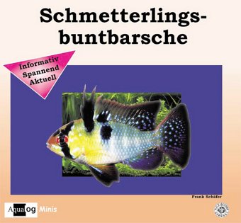 Product Image: Schmetterlingsbuntbarsche