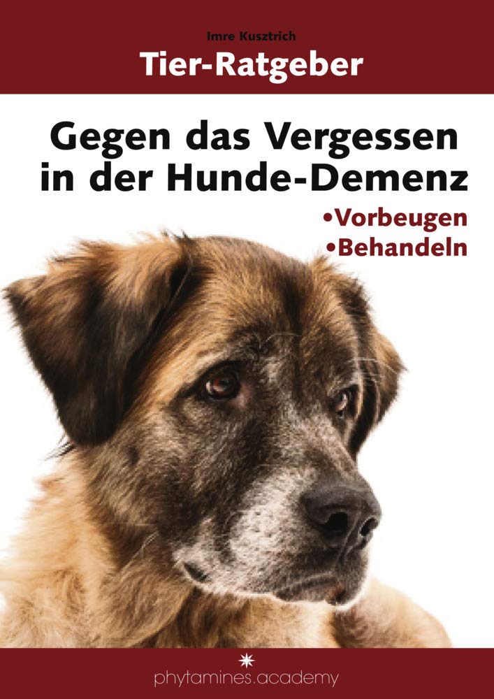 Gegen das Vergessen in der Hunde-Demenz: Vorbeugen und Behandeln (phytamines.academy) Hobbies & Crafts