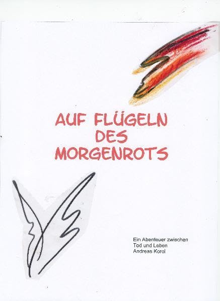 Auf Flügeln des Morgenrots: Ein Abenteuer zwischen Leben und Tod Contemporary literature