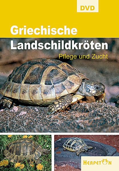 Griechische Landschildkröten - Pflege und Zucht Movies