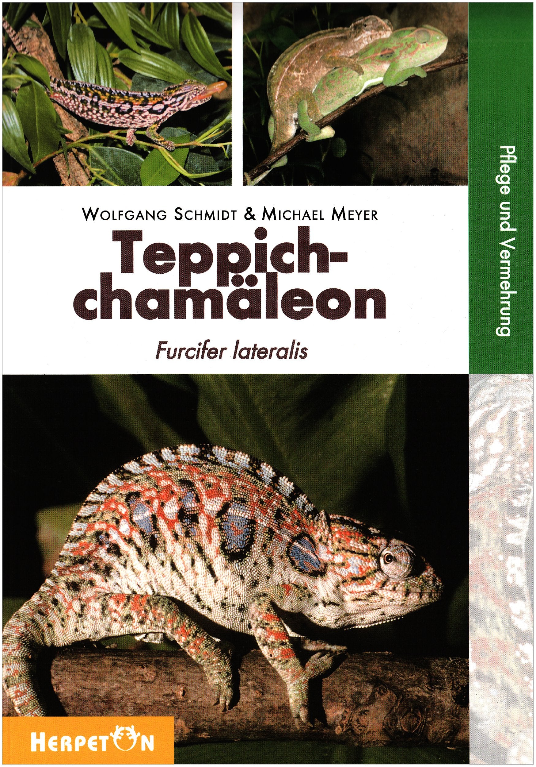 Teppichchamäleon: Furcifer lateralis, Pflege und Vermehrung Books